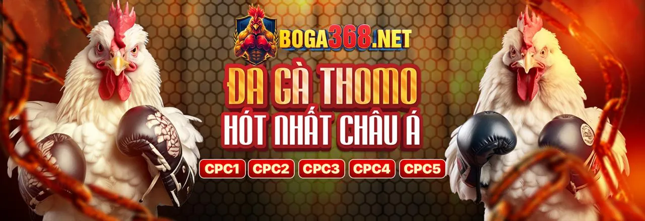 Hình ảnh chủ đề Cờ Bạc Có Trách Nhiệm của 66ko đăng nhập